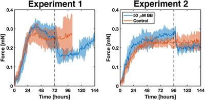 Force-Bioreactor for Assessing Pharmacological Therapies for Mechanobiological Targets